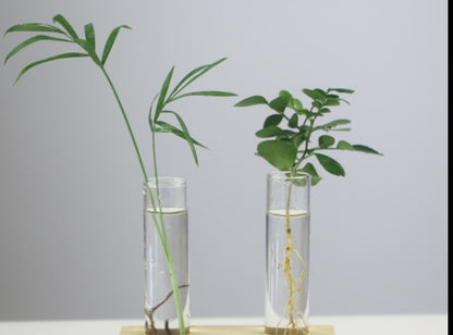 Creative Wooden Glass Bottle Plant Vase