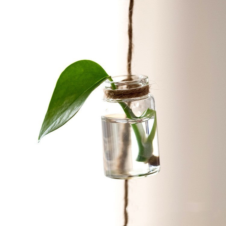 Decorative Hanging Bottle